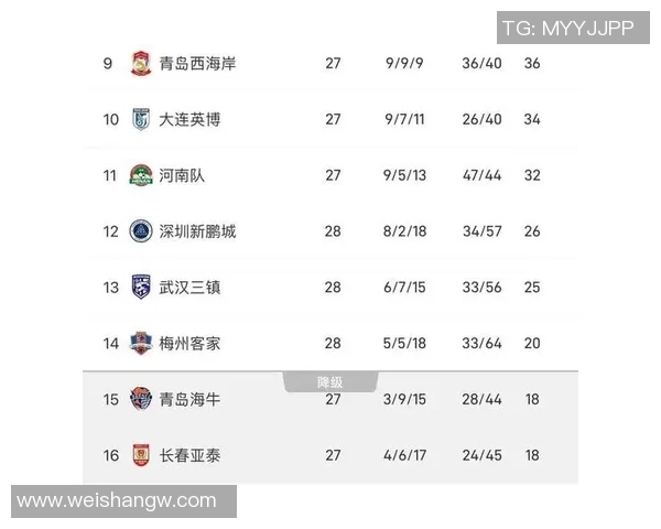十人新鹏城2-1客胜三镇 杨一鸣直红成关键保级希望增大 十人新鹏城2-1客胜三镇 杨一鸣直红成关键保级希望增大